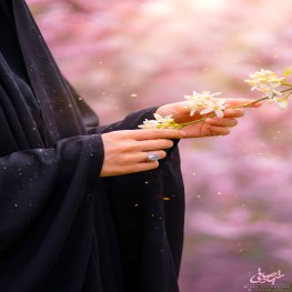 shima_sadeghi
