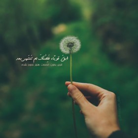 حروف نگاری