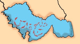 خلیج همیشه فارس ایران