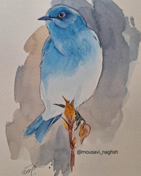 پرنده ، تکنیک آبرنگ