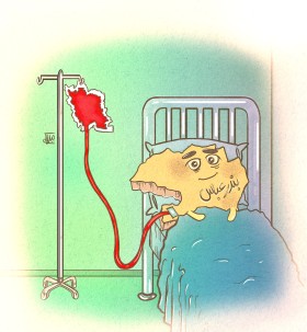 ایران همدل بندرعباسه