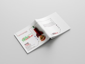 کتاب جنگ 12 روزه