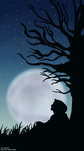 تو در شب من جوانه ی نوری