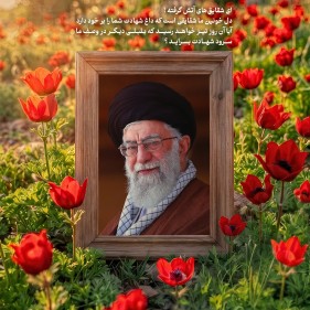 گل‌های شقایق